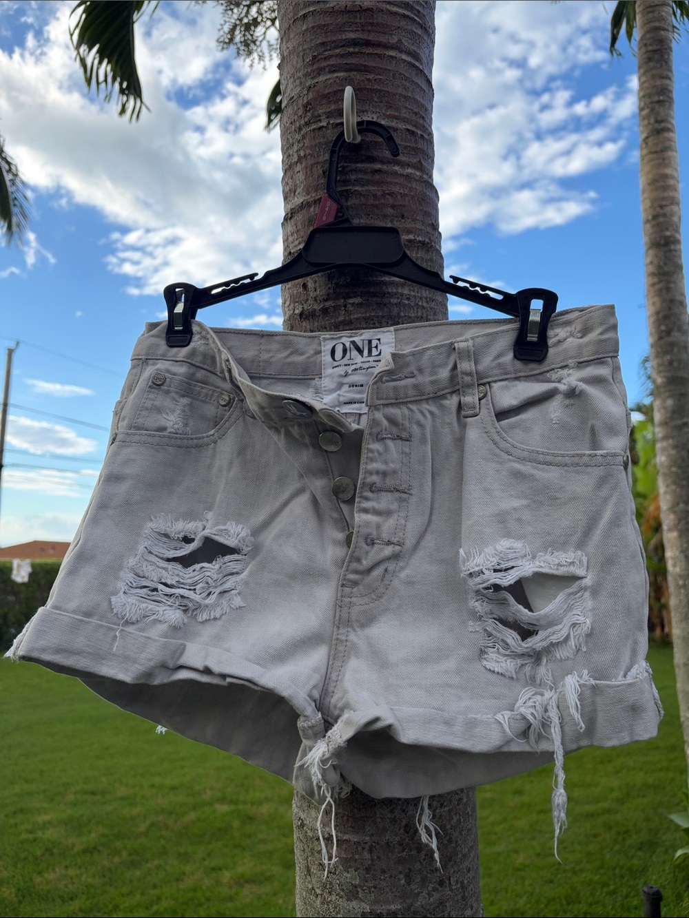 One Teaspoon Hawks Light Gray Distressed Button-Fly Denim Shorts